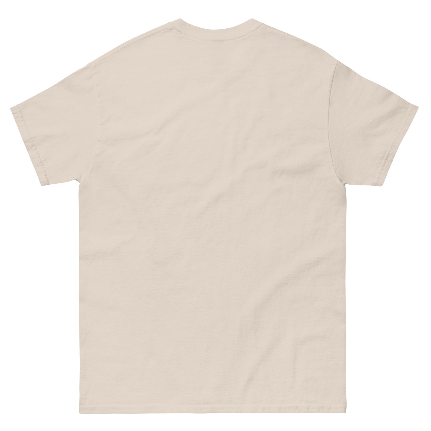 Haunted by My TBR Gildan Unisex classic tee